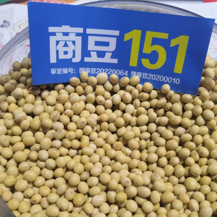 種豆商豆151